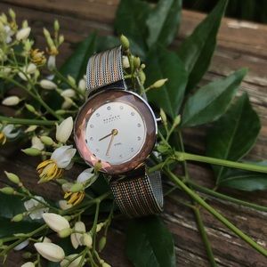 Skagen Stainless Steel and Rose Gold-Tone Watch